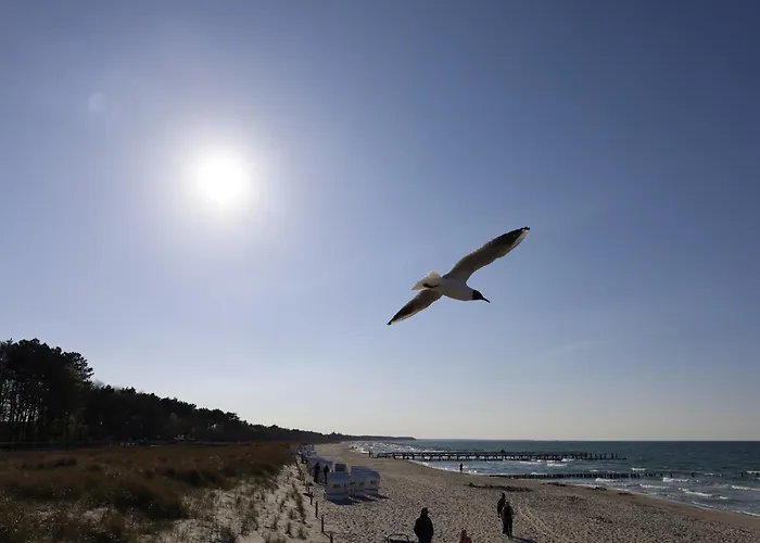 Haus Admiral Mit Garten, 5 Gehminuten Zum Strand, Inklusive Wlan, Sauna, Kamin, Tischtennisplatte, Bollerwagen Fuer Den *